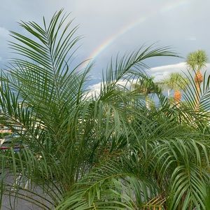 Meet your Posher, Paige